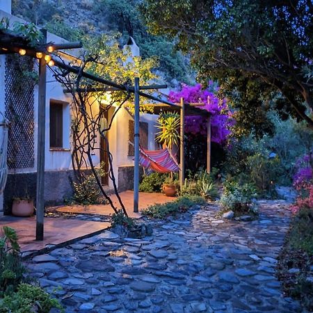 Cortijo Jamaica - Off Grid Paradise - Costa Tropical Los Diaz  Eksteriør billede